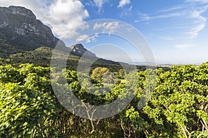 Landscape around Kirstenbosch botanical Garden, Cape Town