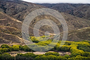 Landscape around Lindis Pass, New Zealand`s South Island