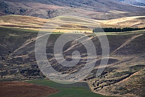 Landscape around Lindis Pass, New Zealand`s South Island