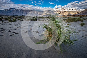 Landscape around Nubra Valley in Ladakh, India