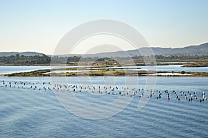 Landscape around Olbia