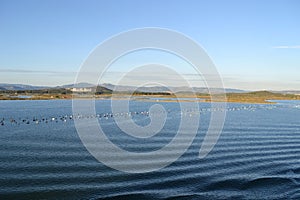 Landscape around Olbia