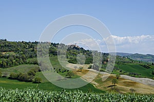 Landscape Around Pienza, Italy