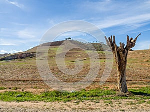 Landscape around the road from Safi to Marrakech photo