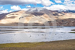 Landscape around Tso Moriri Lake in Ladakh, India