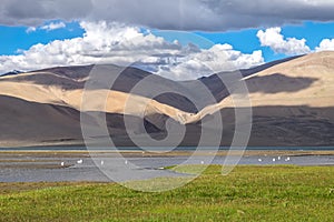 Landscape around Tso Moriri Lake in Ladakh, India