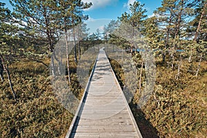 The Landscape around Viru bog, Lahemaa National Park, Estonia