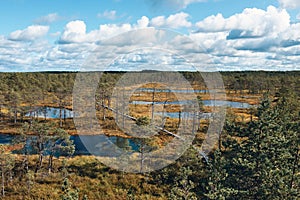 The Landscape around Viru bog, Lahemaa National Park, Estonia