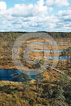 The Landscape around Viru bog, Lahemaa National Park, Estonia