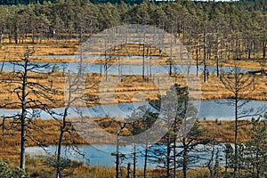 The Landscape around Viru bog, Lahemaa National Park, Estonia