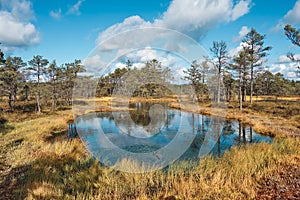 The Landscape around Viru bog, Lahemaa National Park, Estonia