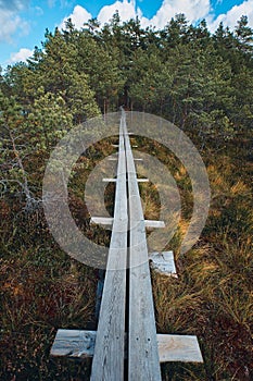 The Landscape around Viru bog, Lahemaa National Park, Estonia