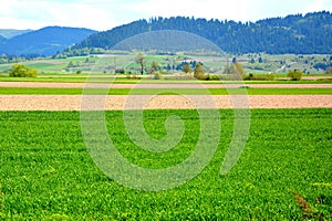 Landscape arround Tusnad, Transylvania