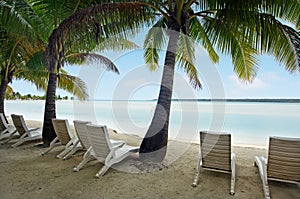 Landscape of Arutanga island in Aitutaki Lagoon Cook Islands