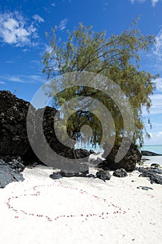 Landscape of Arutanga island in Aitutaki Lagoon Cook Islands