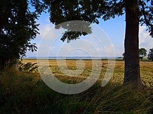Landscape as seen from Baagoe BÃ¥gÃ¸ Island Funen Denmark