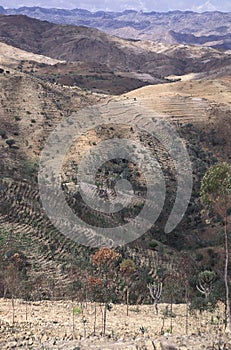 Landscape between Asmara and Keren, central Eritrea photo