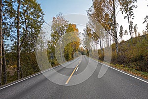 Landscape of an asphalt road through the autumn forest.