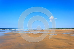 Landscape from the Atlantic coast from a French island.