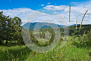 Landscape in Australian hinterland