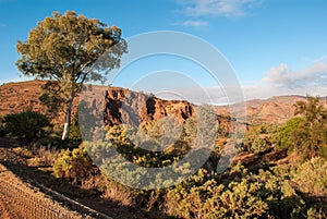 Landscape in the Australian outback
