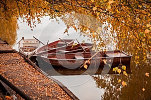 Landscape with autumn boats