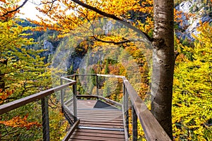 Landscape in autumn day