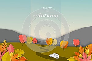 Landscape of autumn or fall background with colorful leaves for shopping promotion,web banner,poster or flyer