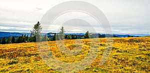 Landscape in autumn at Feldberg in the Black Forest. photo