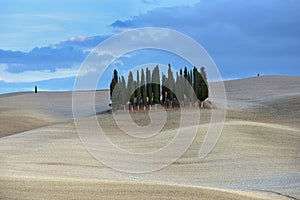 Landscape of autumn field with cypresses in Tuscany, Italy