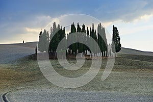 Landscape of autumn field with cypresses in Tuscany, Italy