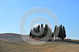 Landscape of autumn field in Tuscany, Italy