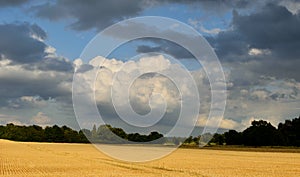 Landscape. Autumn fields. Agrarian country. Golden field. Dark clouds.