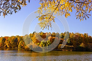 Landscape from the autumn forest and pond