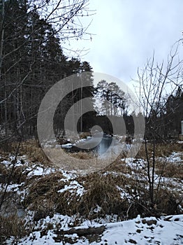 Landscape. Autumn forest. View of the river and pines. Snow lies on the grass