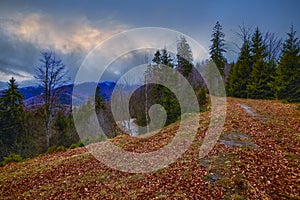 a landscape with autumn mountain