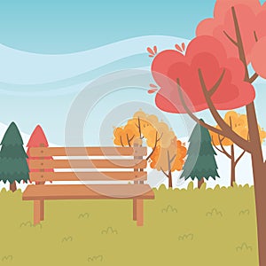 Landscape in autumn nature scene, bench park trees grass natural