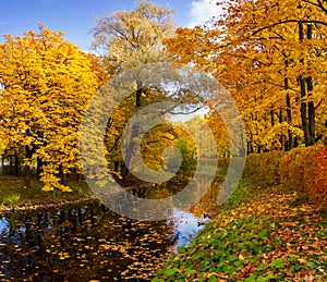 Landscape in the autumn park