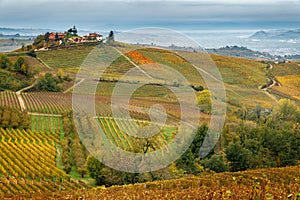 Landscape in autumn in Piedmont zone