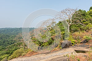 Landscape in autumn of Sanjay Gandhi National Park, Mumbai, India