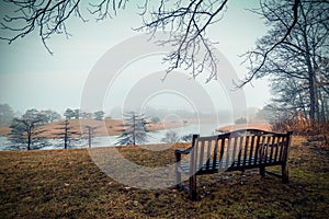 Landscape of an autumn scene