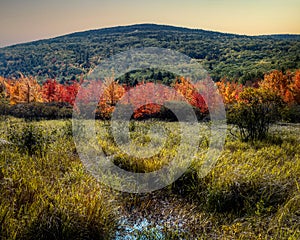 Landscape of an autumn scene