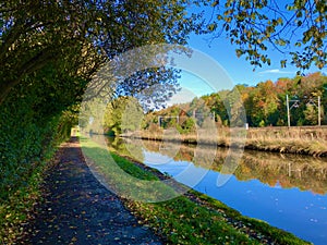 Landscape of the autumn trees