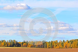 Landscape with autumn trees in fall under beautiful cloudy sky