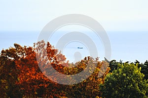 Landscape: autumn trees and ocean with the ship on it