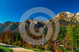 Landscape of autumn trees under Prahova valley Bucegi mountains, Carpathians, Romania