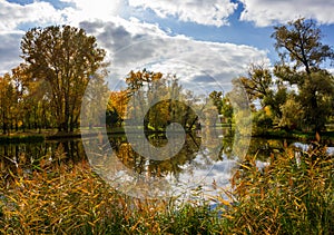 Landscape in the autumn Victory Park in St. Petersburg