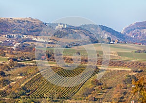 Landscape autumn view from Palava or Palavske vrchy