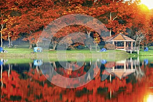 Landscape of autumn water park and resort