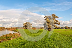 Landscape in autumnal colors